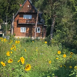 Vacationhome In The Vineyards Wien